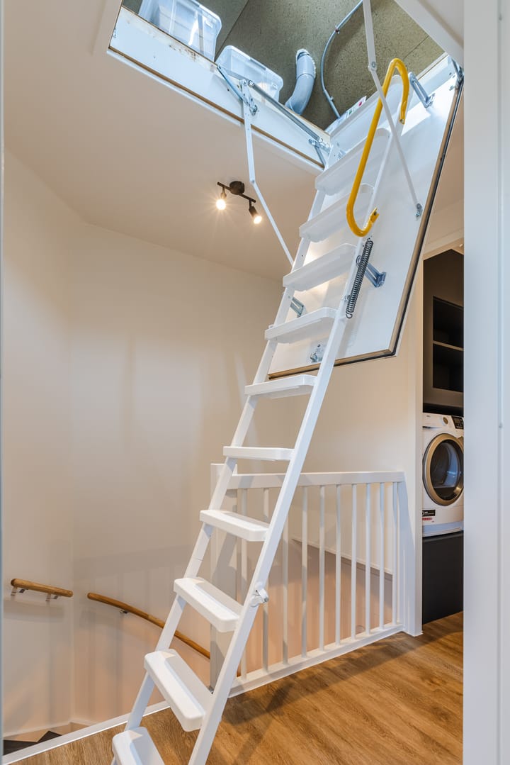 Photo 53 of Penningkruid 86