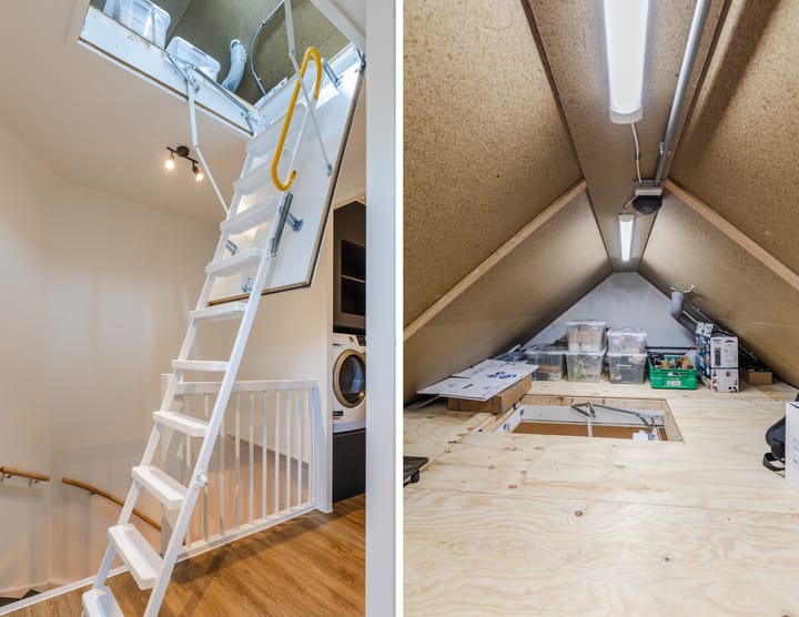 Photo 61 of Penningkruid 86