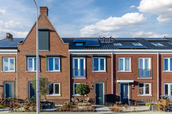 Photo 72 of Penningkruid 86