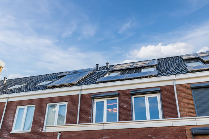 Photo 78 of Penningkruid 86