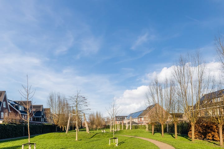 Photo 80 of Penningkruid 86