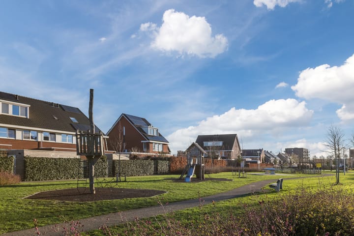 Photo 81 of Penningkruid 86