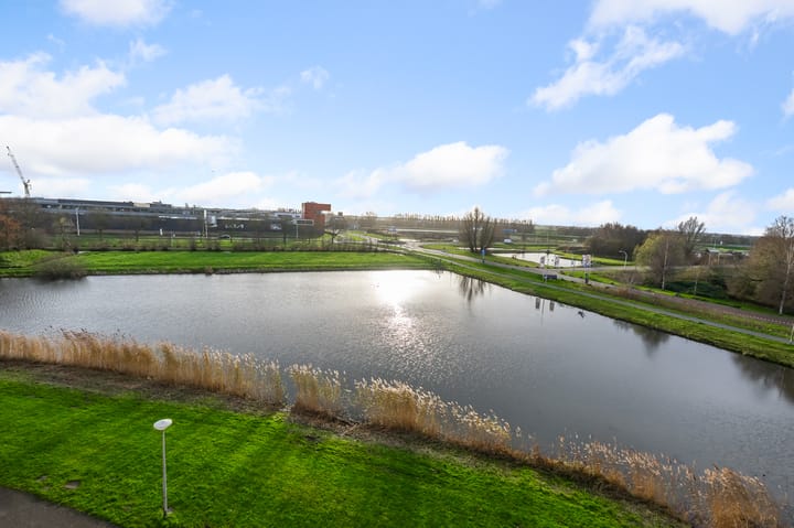 Foto 5 van Polderpeil 180