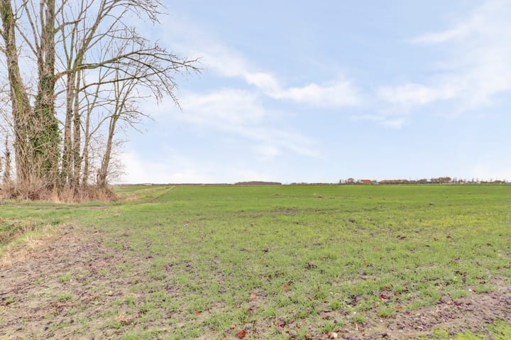 Foto 2 van Dorpsweg 42