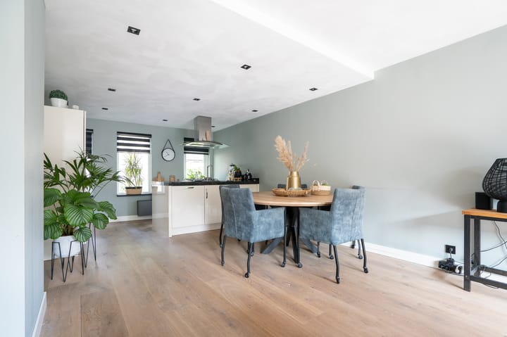 Foto 16 van Jacob van Looyhof 5