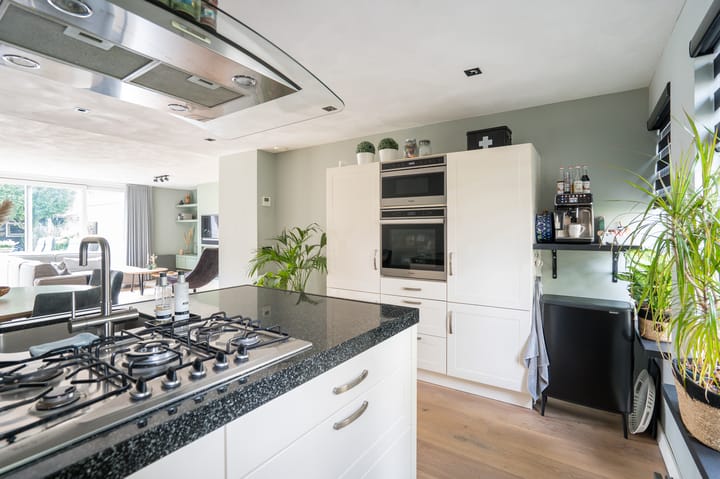 Foto 20 van Jacob van Looyhof 5