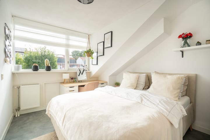 Foto 25 van Jacob van Looyhof 5