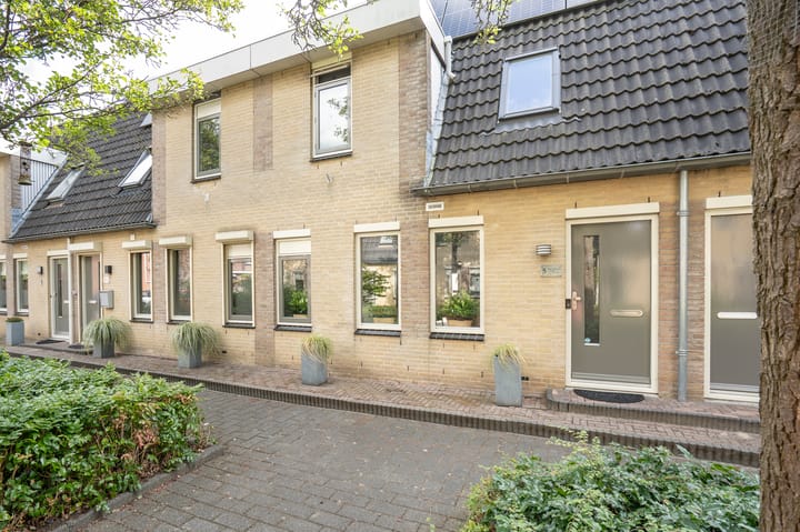 Foto 34 van Jacob van Looyhof 5