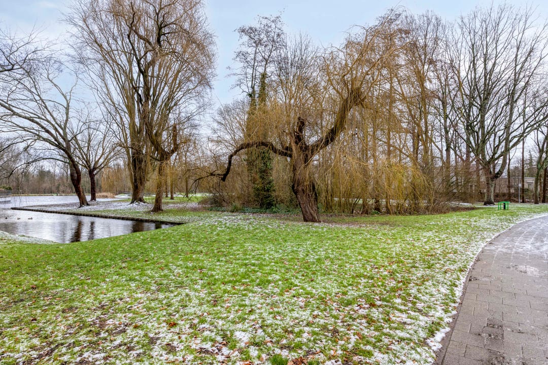 Foto 53 van Brahmslaan 39