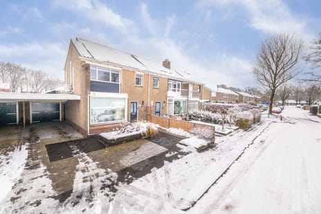 undefined main image