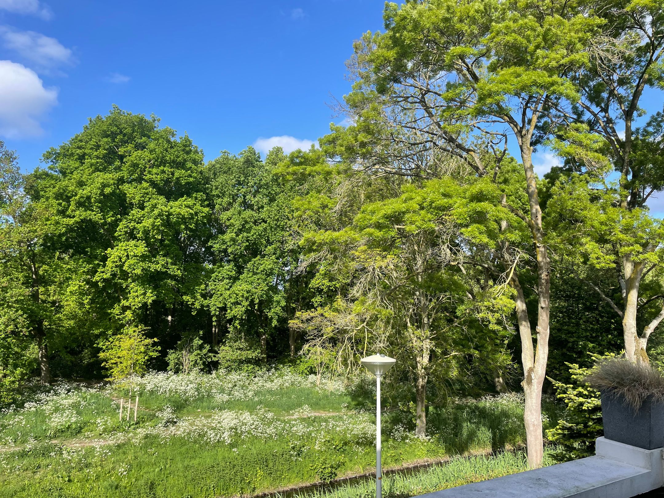 Foto 45 van Mahatma Gandhistraat 54