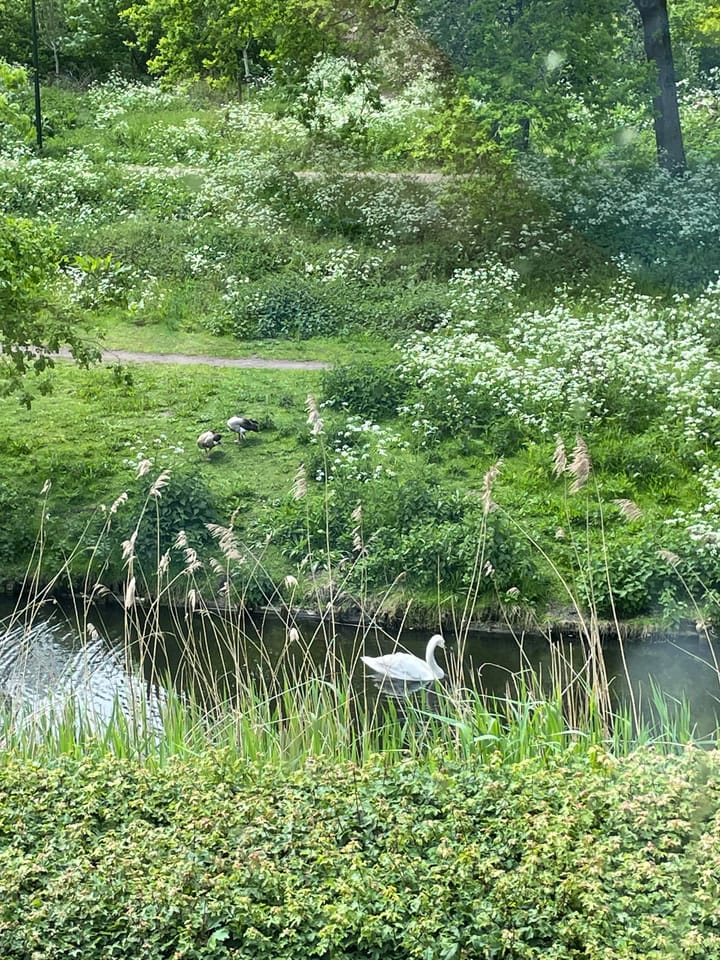 Foto 46 van Mahatma Gandhistraat 54