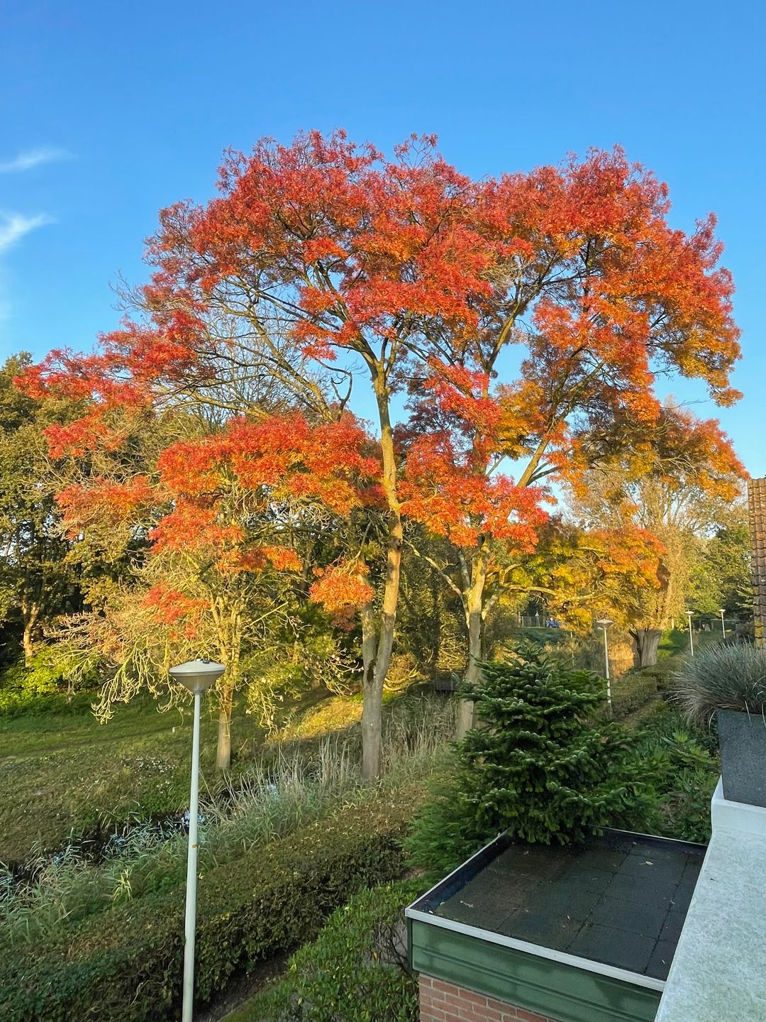 Foto 47 van Mahatma Gandhistraat 54