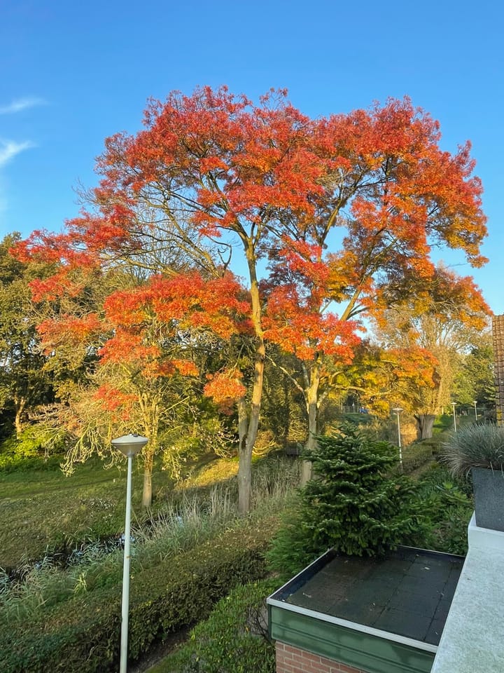 Foto 47 van Mahatma Gandhistraat 54