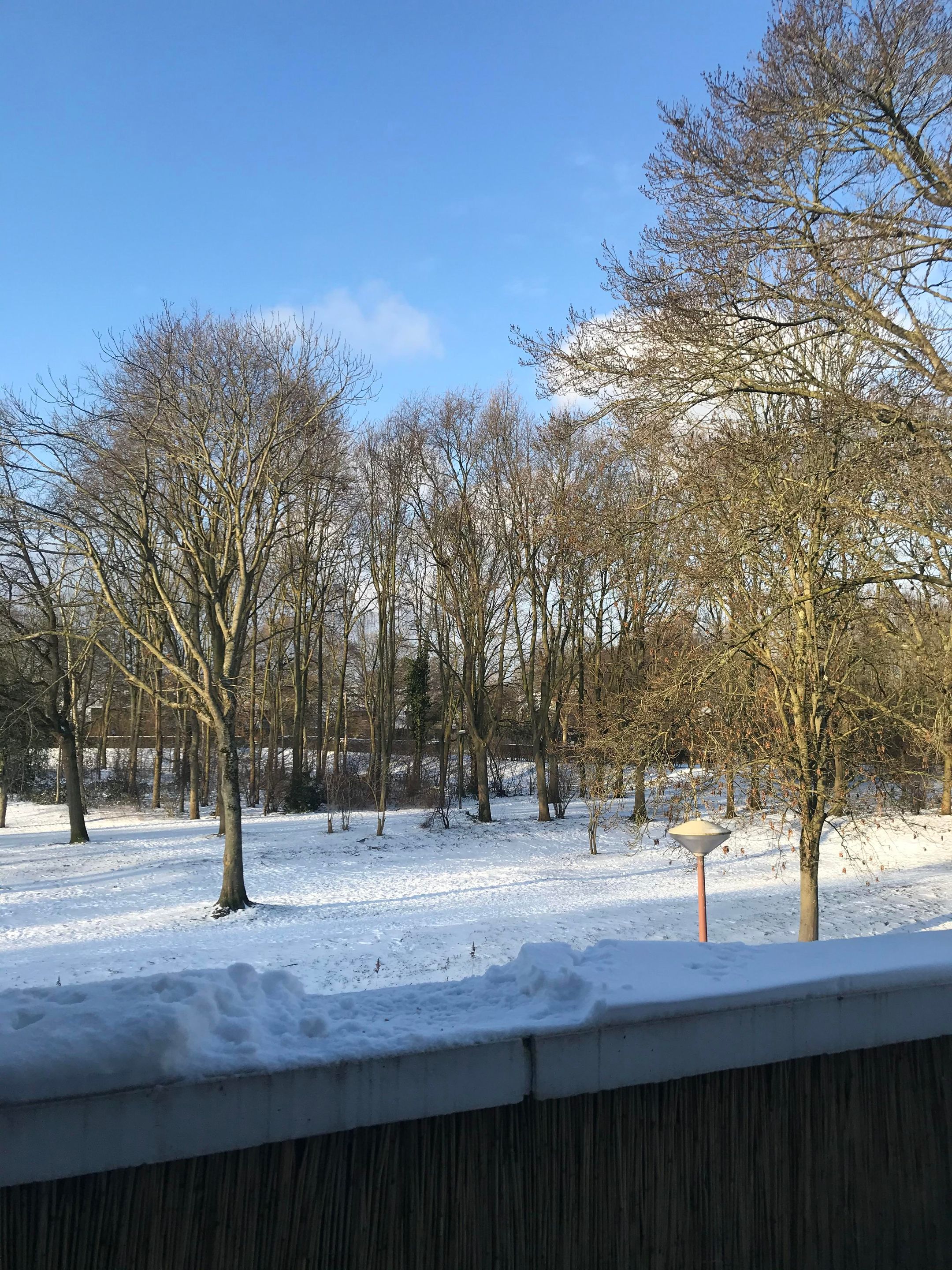 Foto 48 van Mahatma Gandhistraat 54