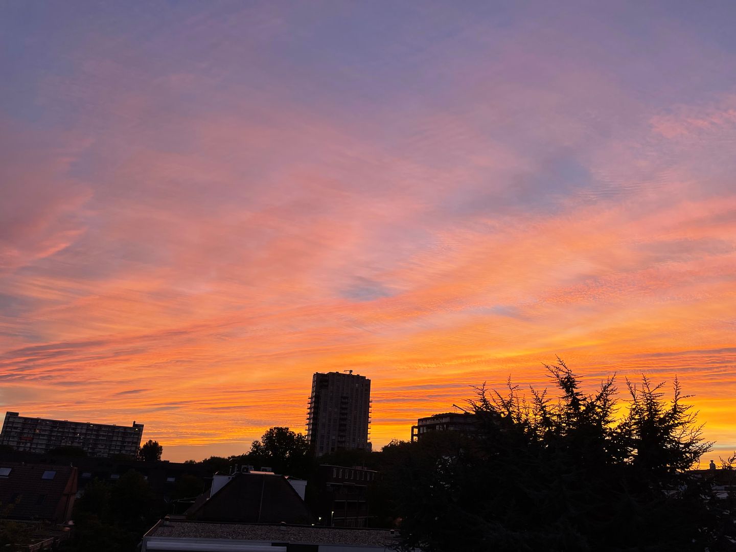 Foto 49 van Mahatma Gandhistraat 54