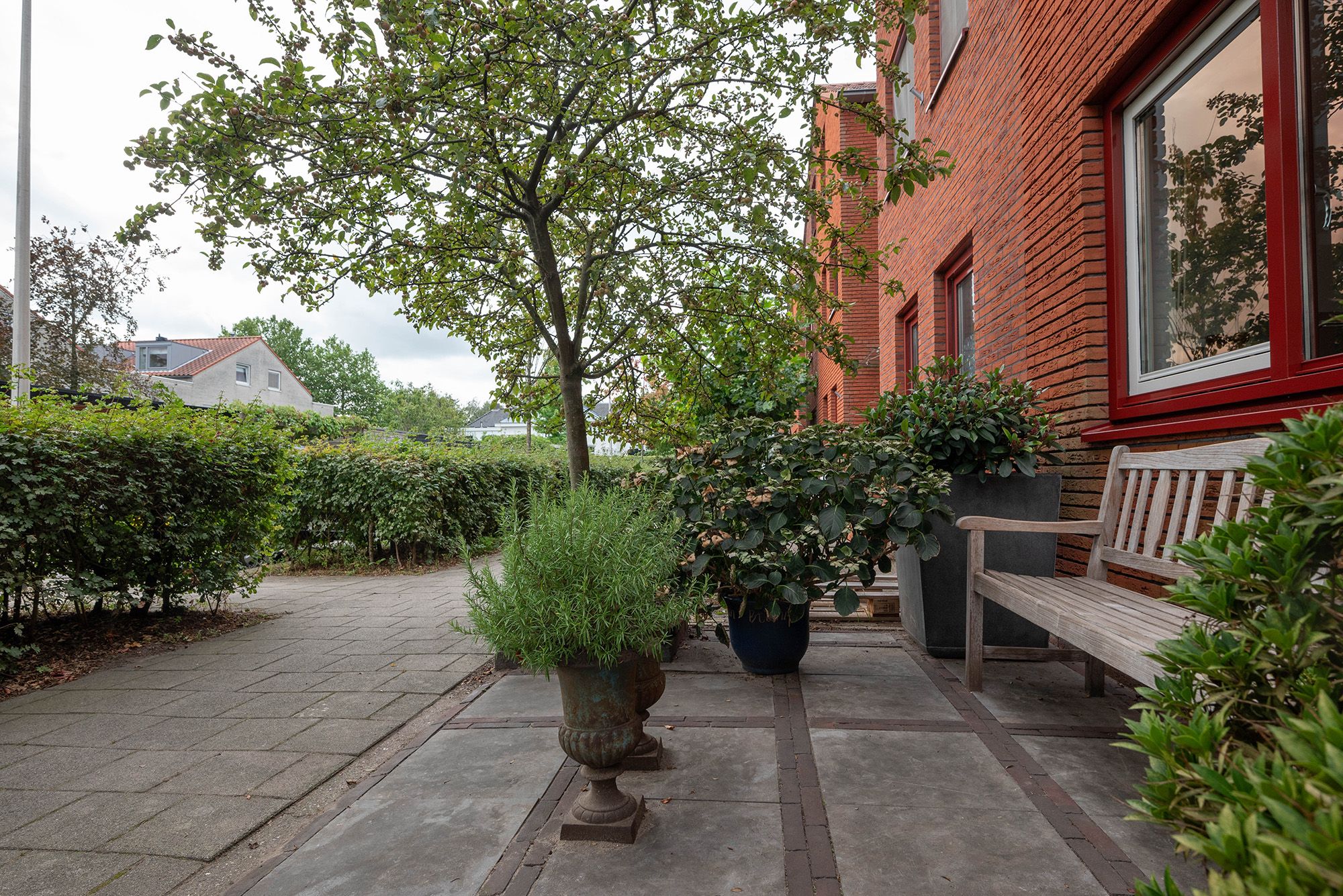 Photo 6 of Wegastraat 26