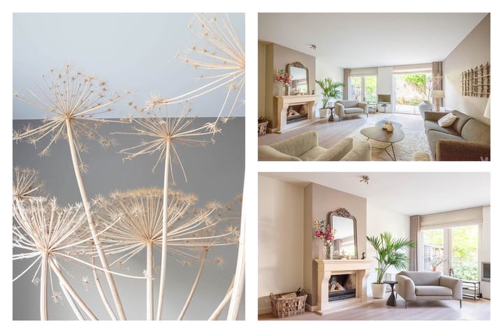 Foto 11 van Wegastraat 26