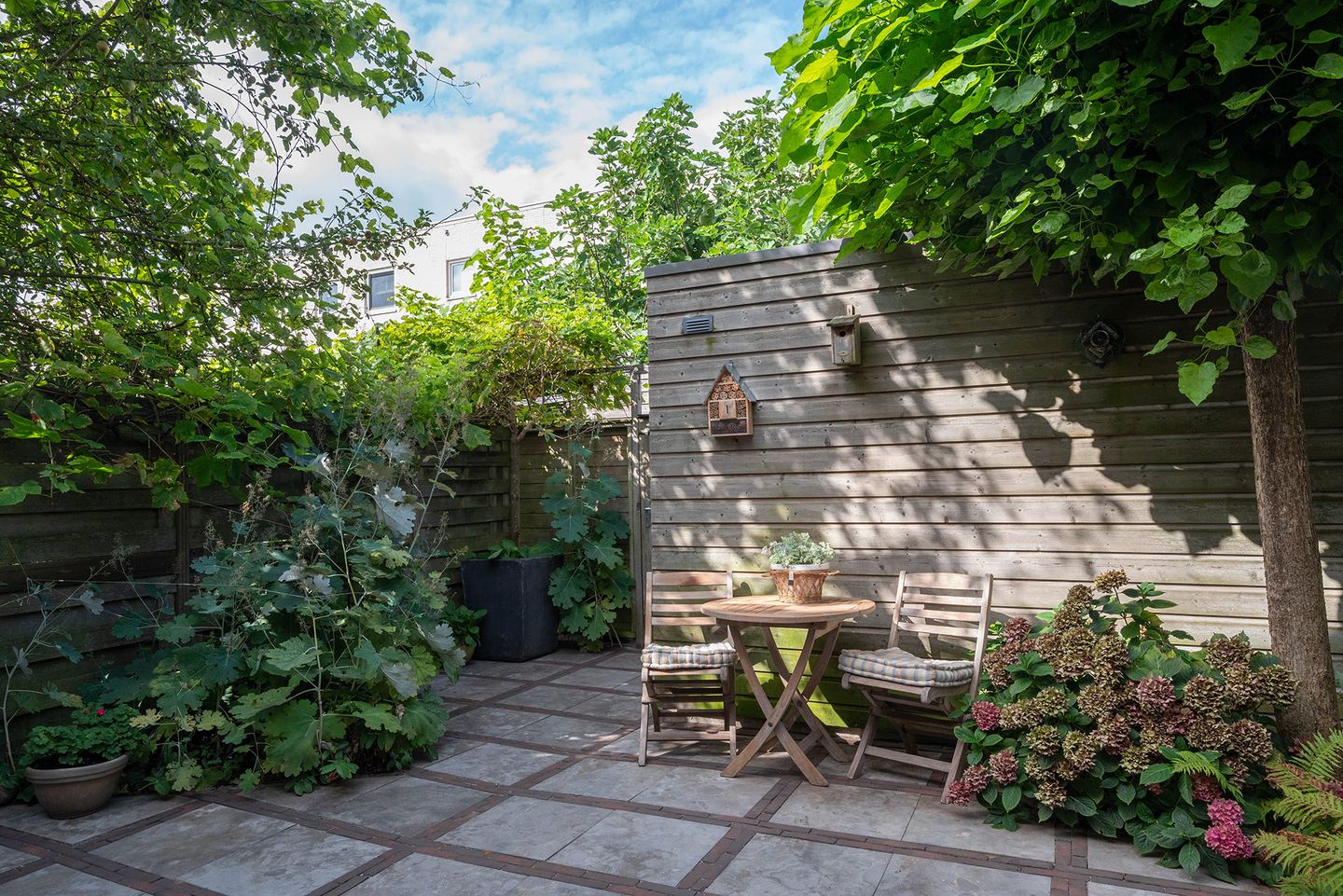 Photo 14 of Wegastraat 26