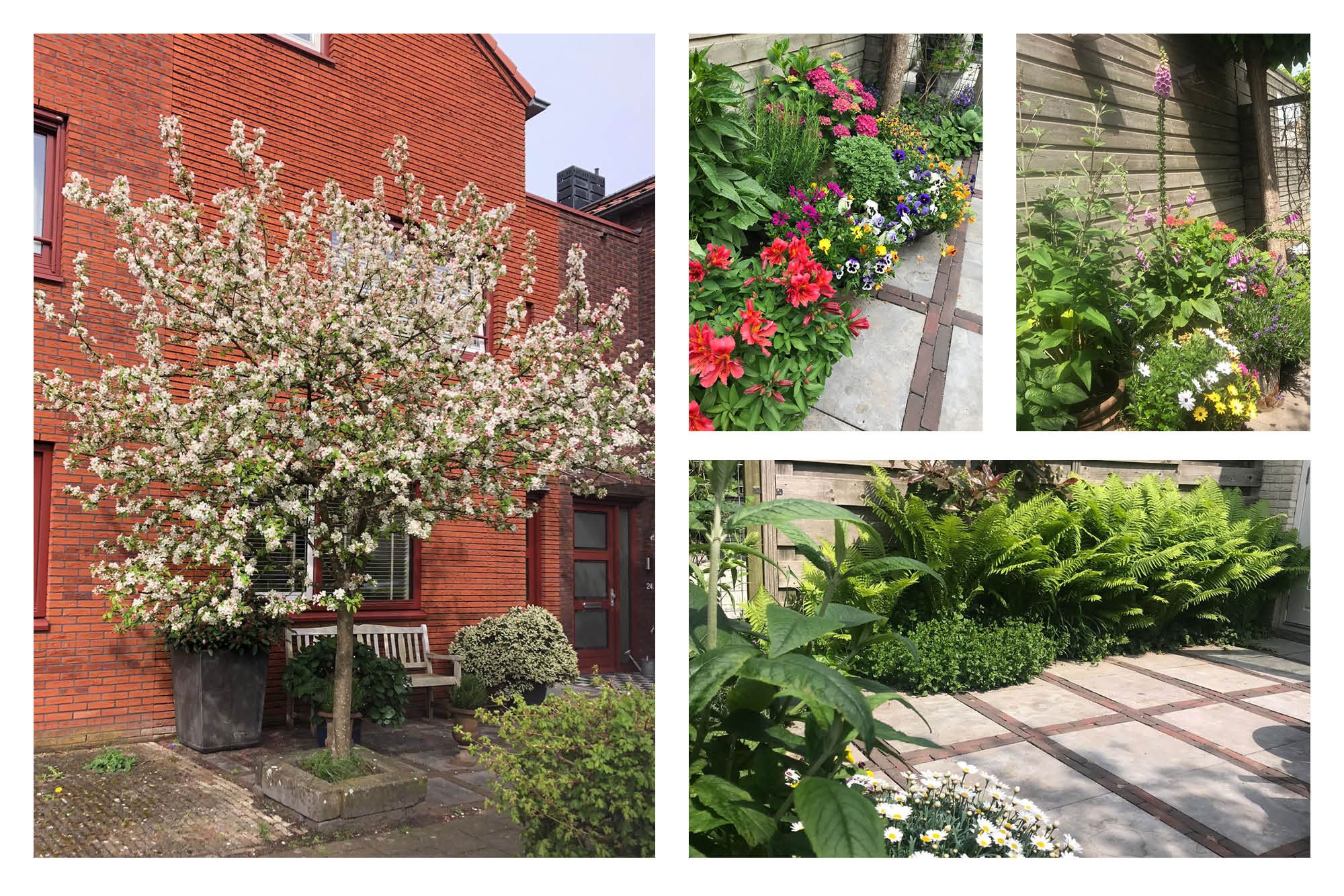 Photo 15 of Wegastraat 26