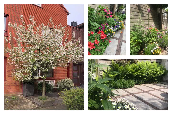 Foto 15 van Wegastraat 26