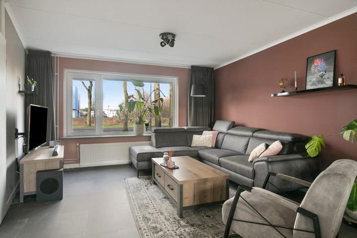 Photo 5 of Reeneik 40