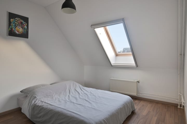 Photo 19 of Reeneik 40