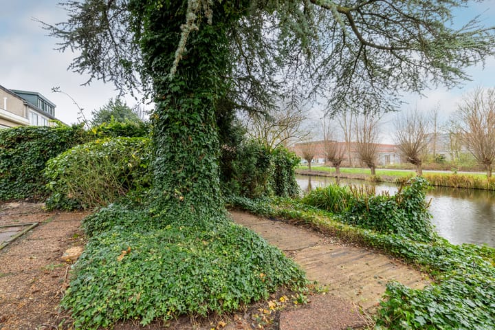 Foto 40 van Gebr. Conijnstraat 41