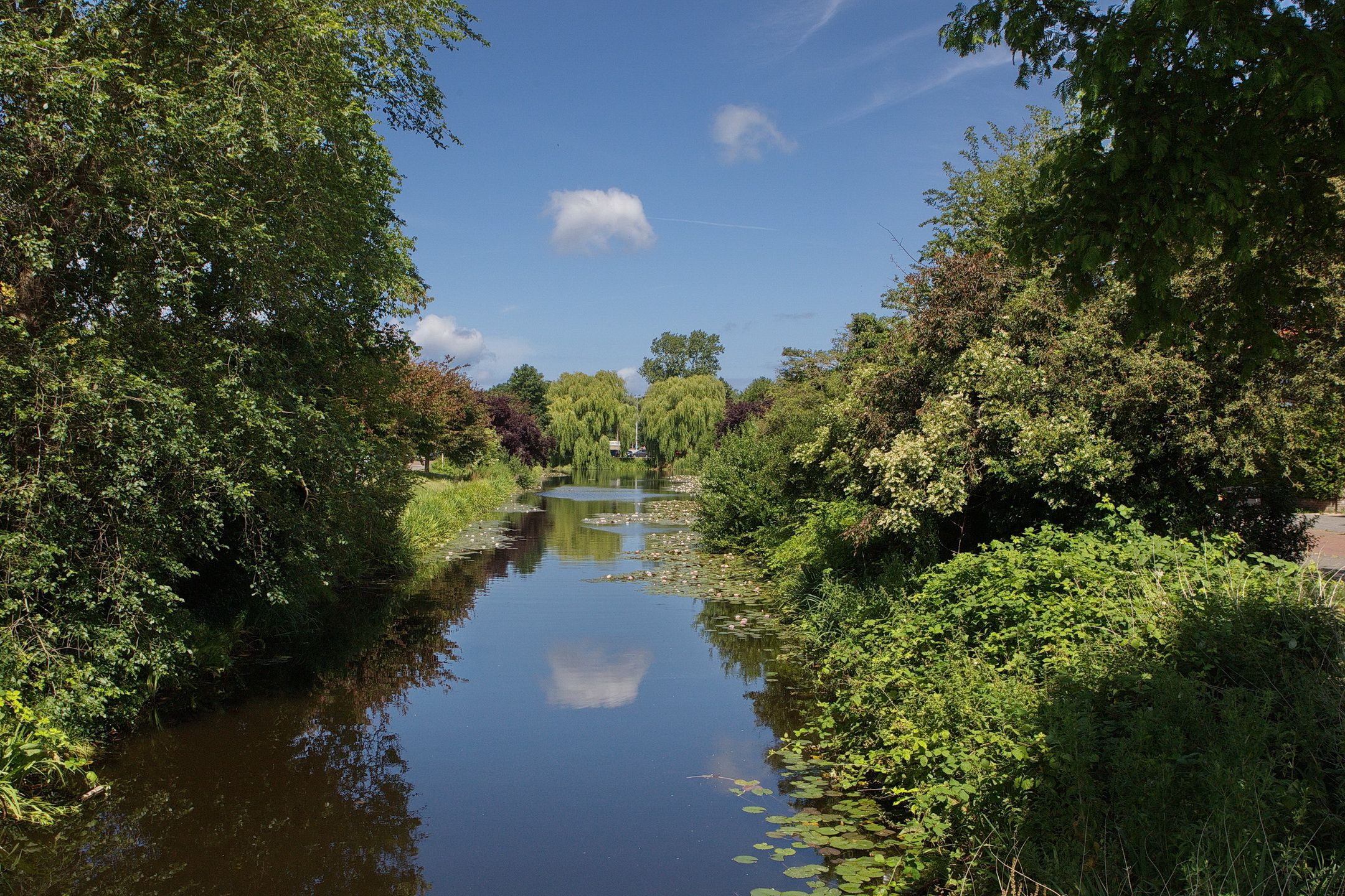 Foto 63 van Sportlaan 295