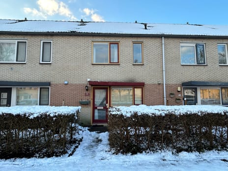 undefined main image