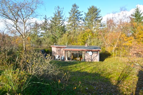 Louwvlakte thumbnail