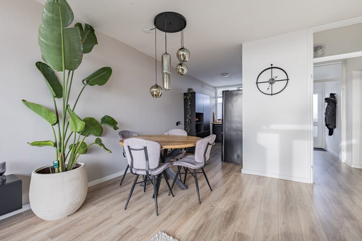 Foto 12 van Tjaarda 106