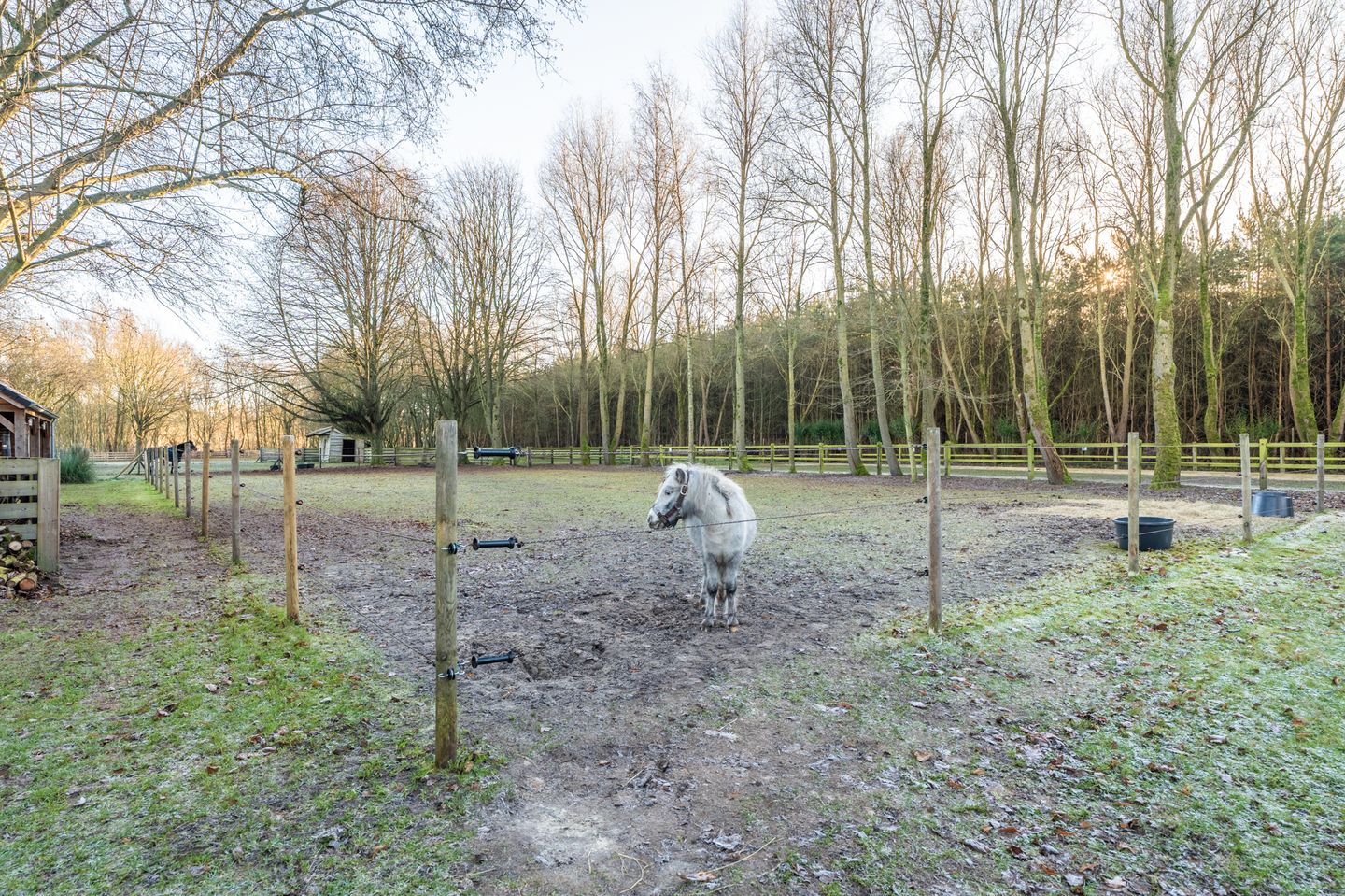 Photo 20 of 1e Pallertweg 27