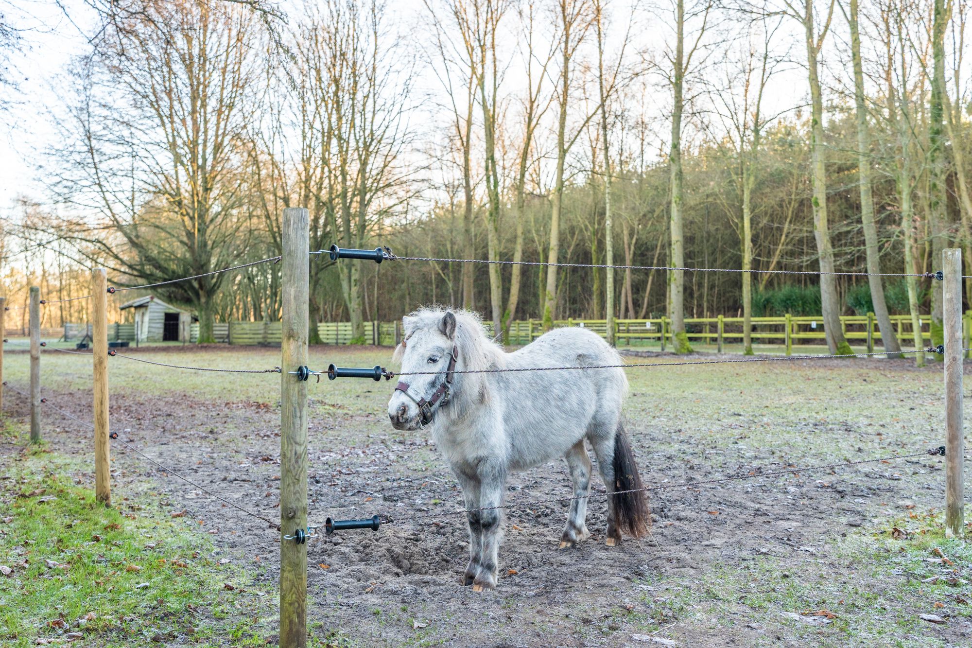 Photo 21 of 1e Pallertweg 27