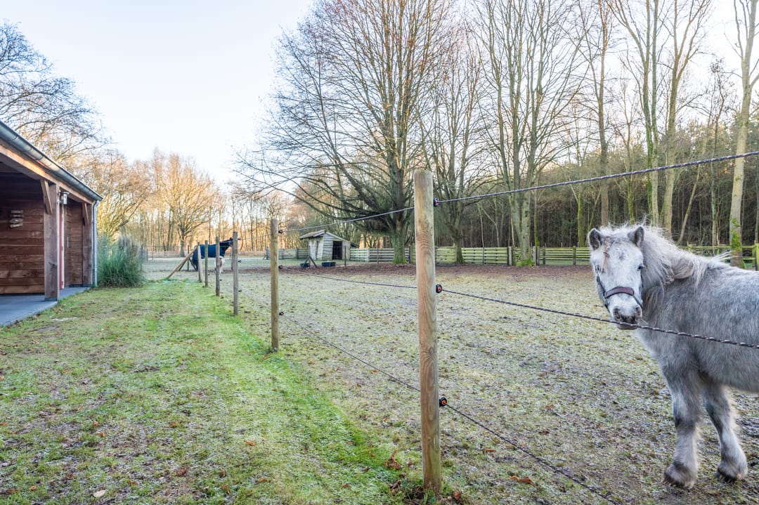 Photo 22 of 1e Pallertweg 27