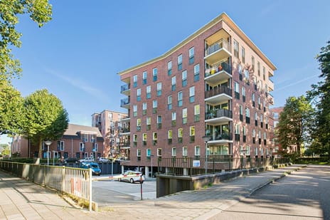 undefined main image