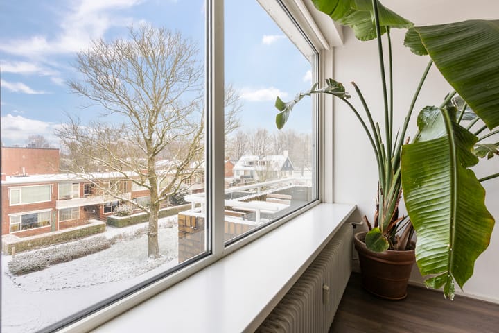 Foto 15 van Bezettingslaan 24