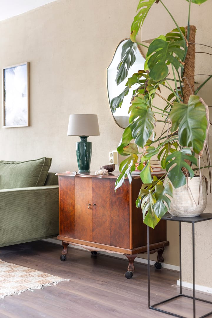 Foto 14 van Bezettingslaan 24