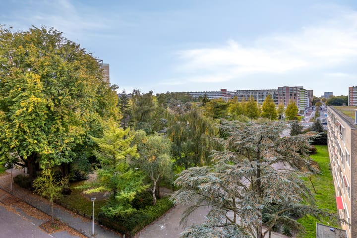 Foto 21 van Oeverpad 515