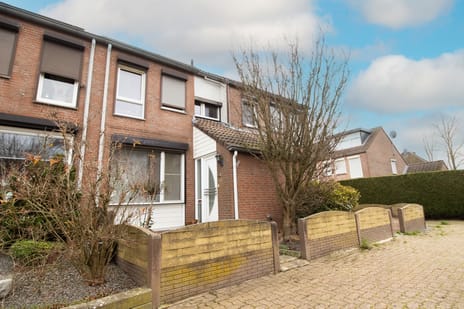 Pierre Zeijenstraat thumbnail