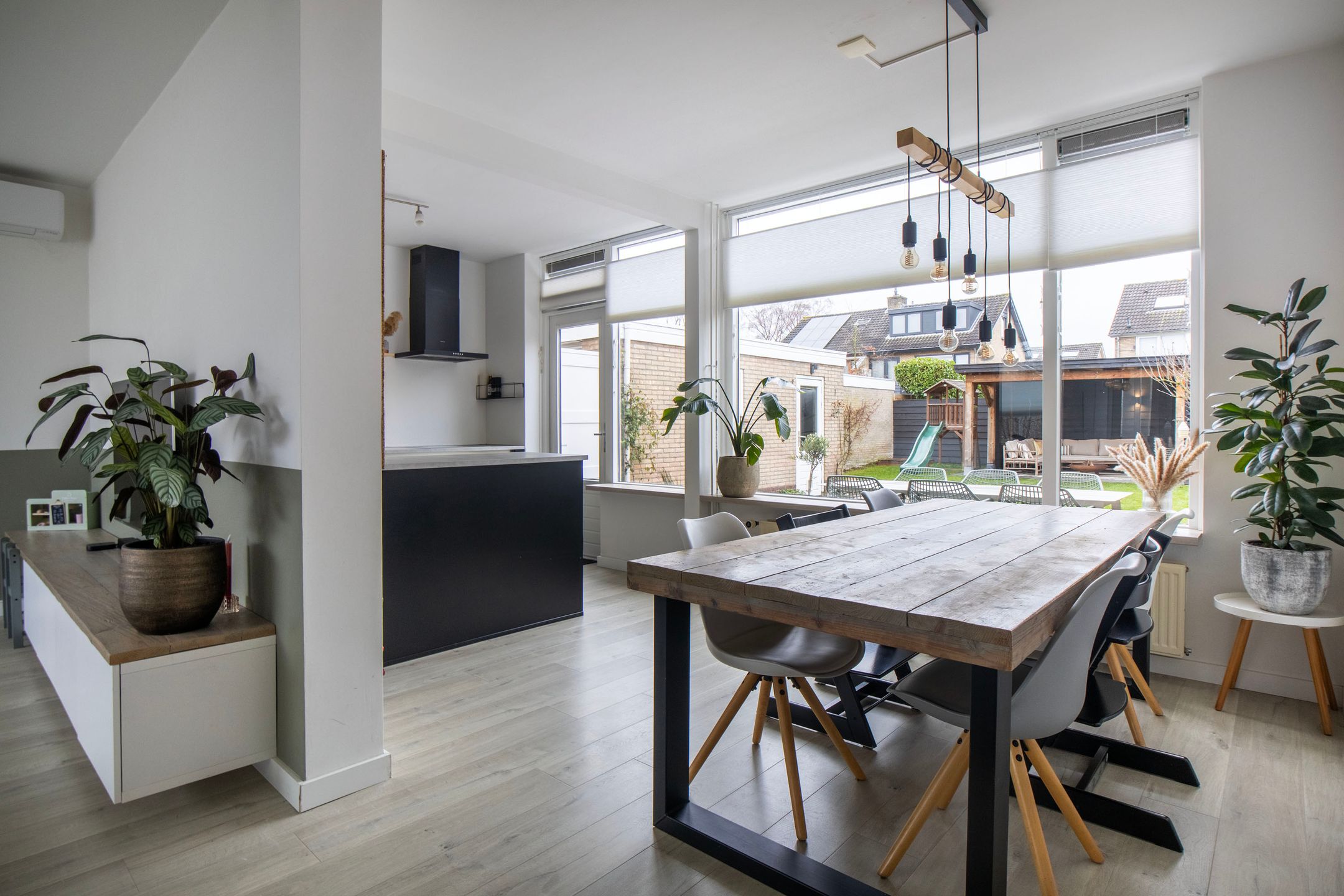 Foto 9 van Pollux 41