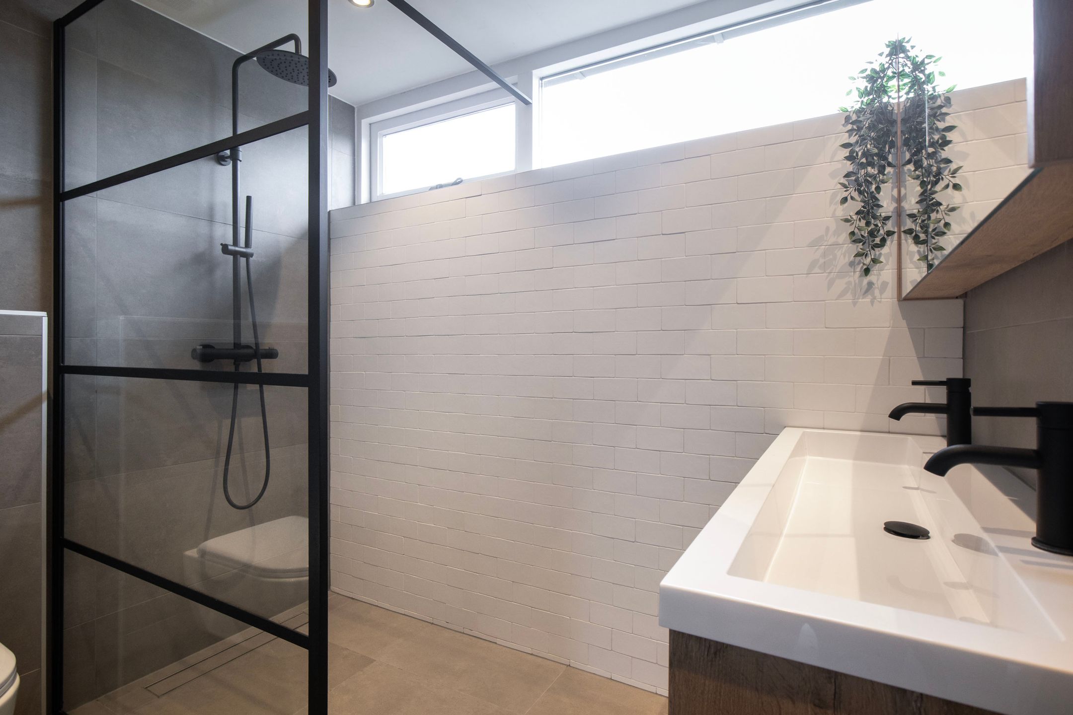 Foto 27 van Pollux 41