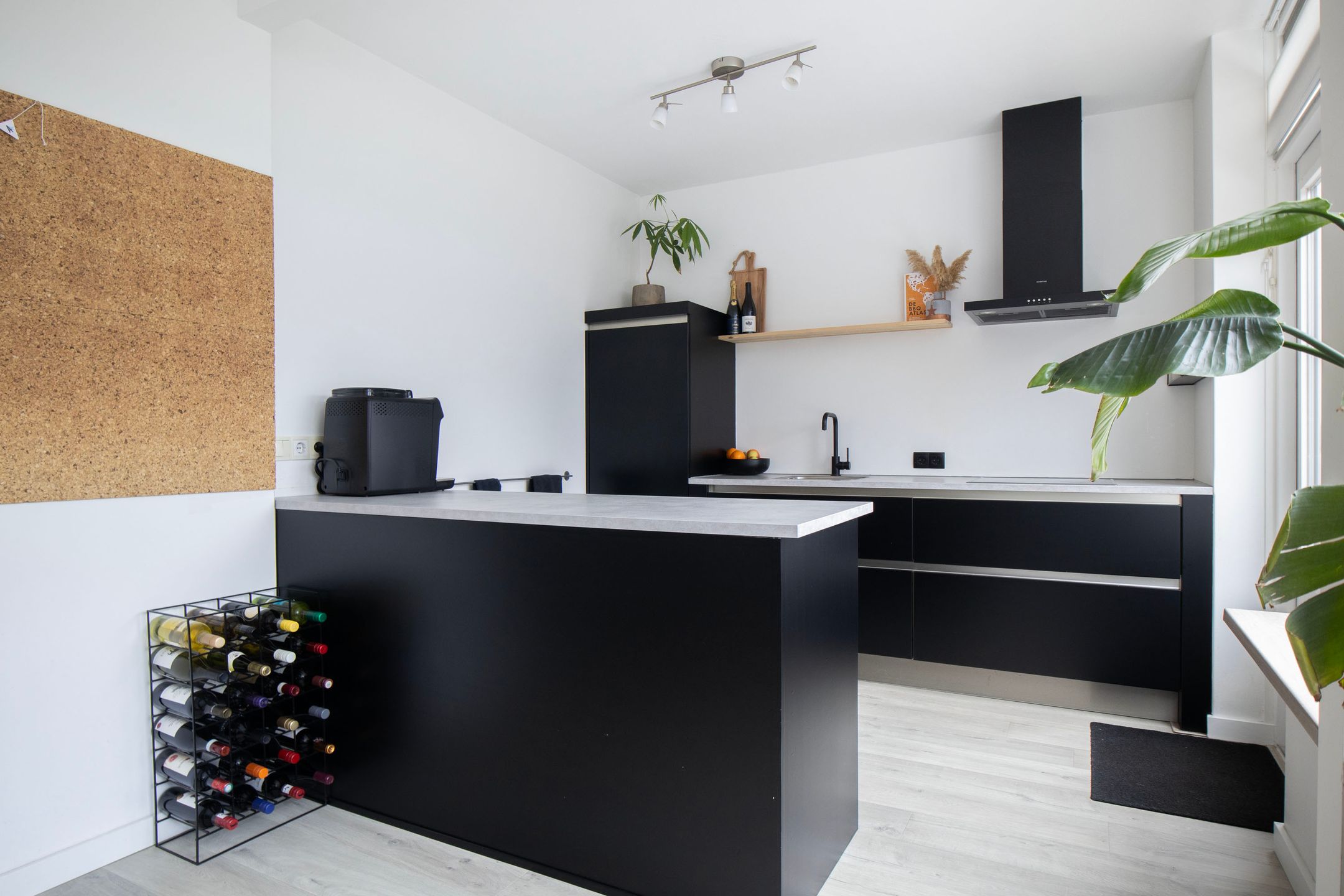 Foto 12 van Pollux 41