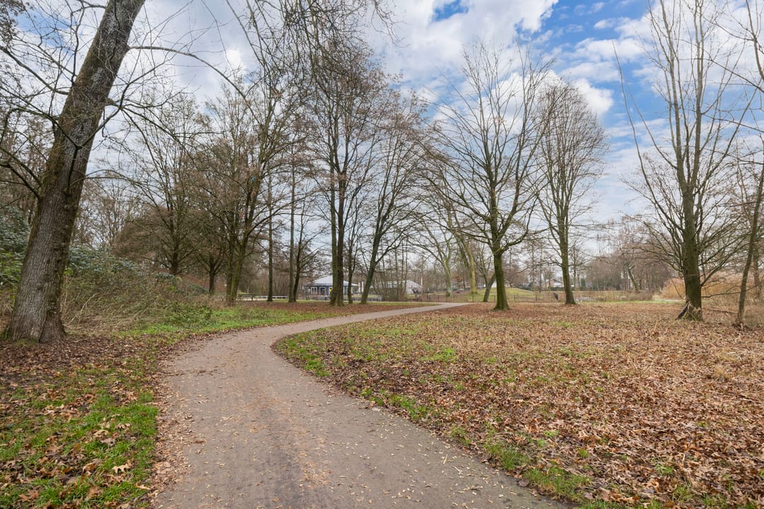 Foto 52 van Pollux 41