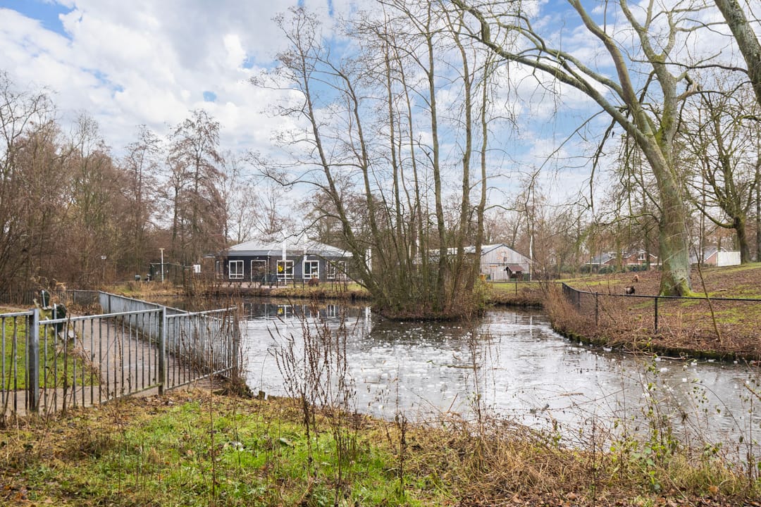 Foto 53 van Pollux 41