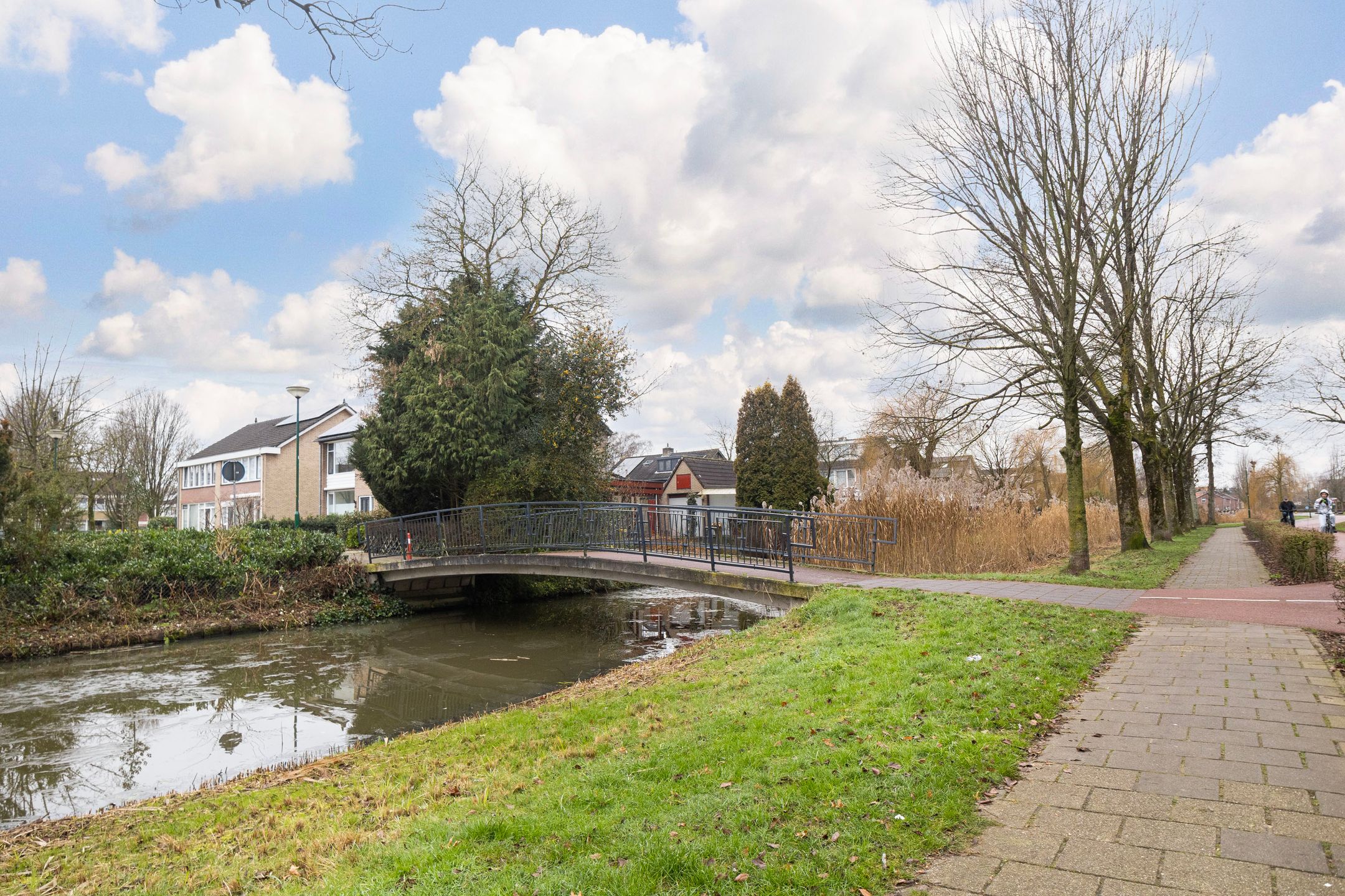 Foto 51 van Pollux 41