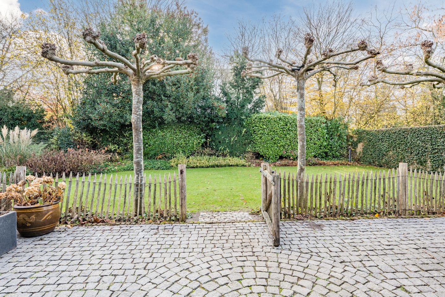 Foto 50 van Burggraafstraat 3