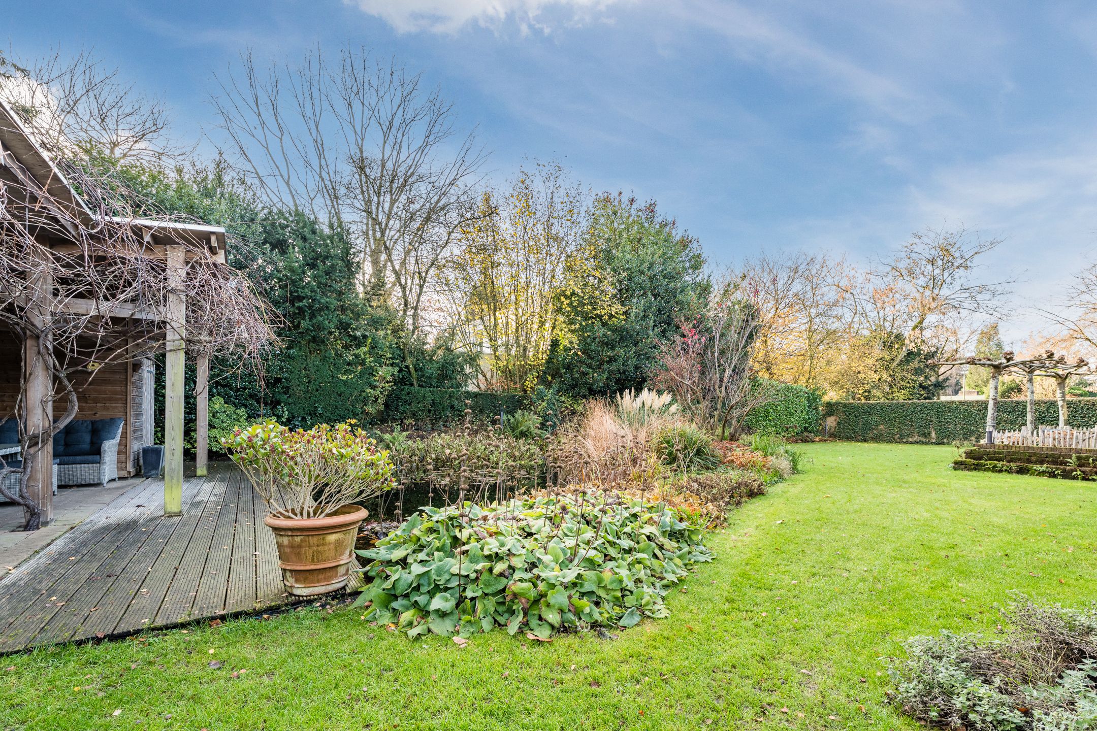 Foto 51 van Burggraafstraat 3