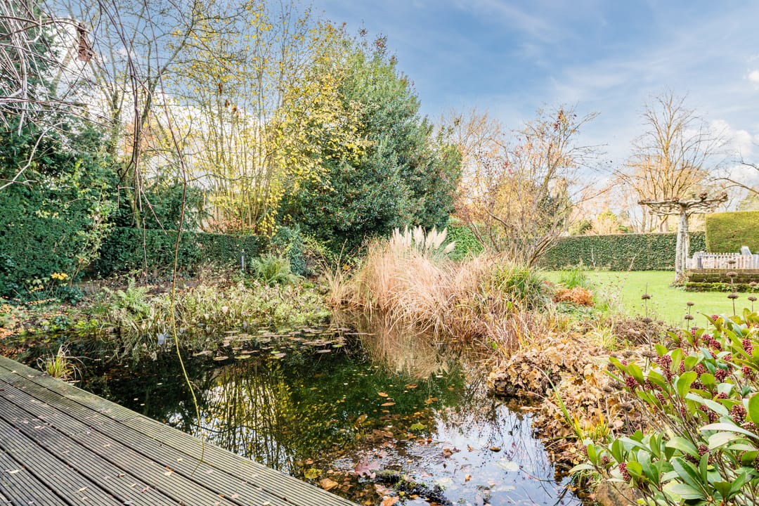 Foto 53 van Burggraafstraat 3