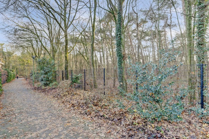 Photo 45 of Citroenvlinderhof 20